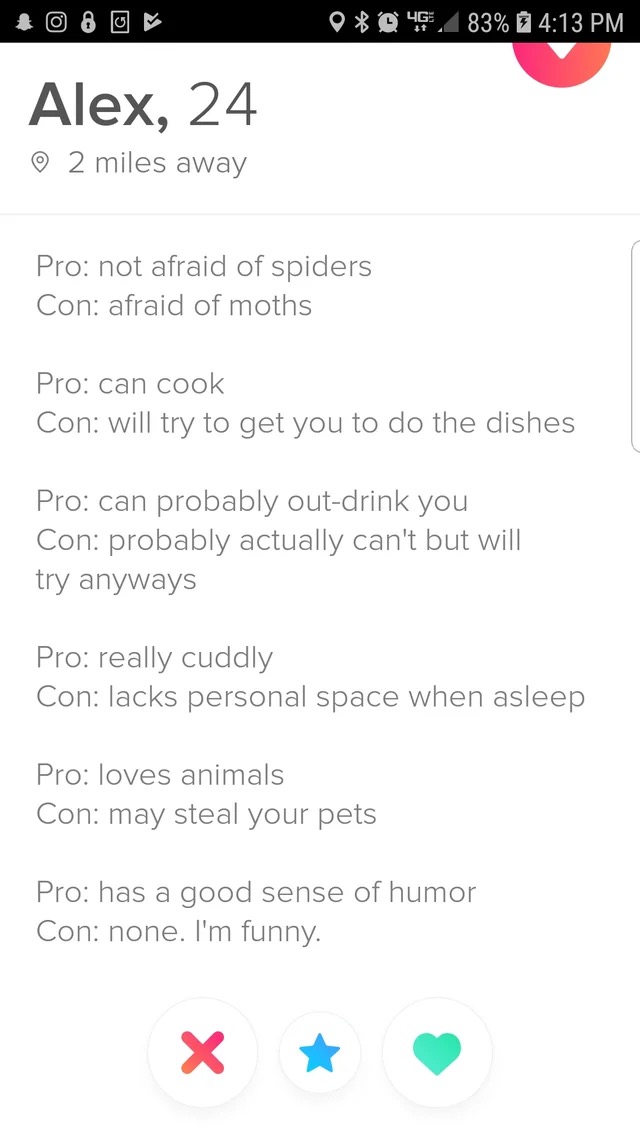 Redditor talks about his funny pros and cons in his online dating profile