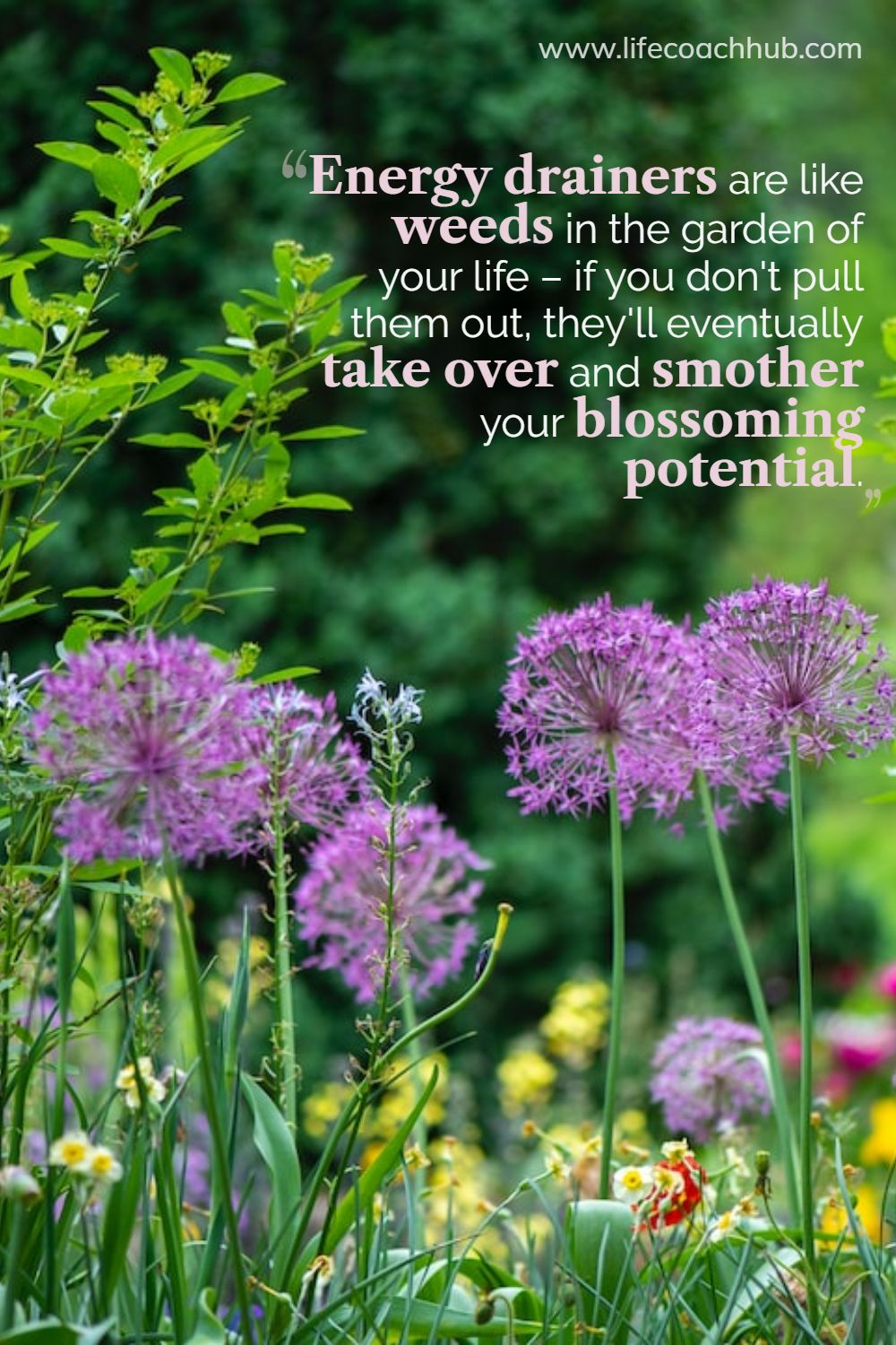 Energy drainers are like weeds in the garden of your life – if you don't pull them out, they'll eventually take over and smother your blossoming potential. Coaching Quote