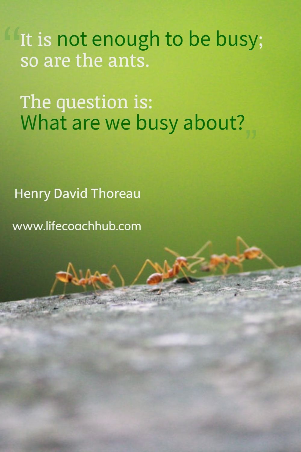 It is not enough to be busy; so are the ants. The question is: What are we busy about? Henry David Thoreau Coaching Quote