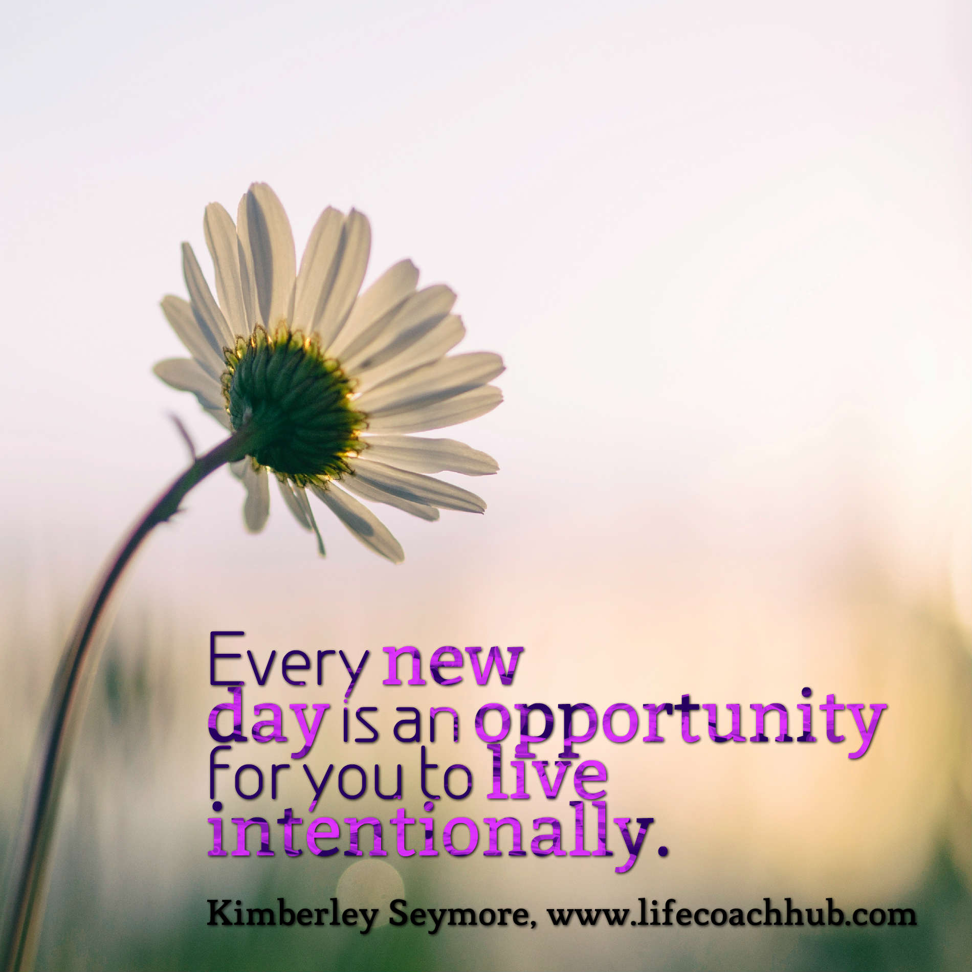 Every New Day Is An Opportunity