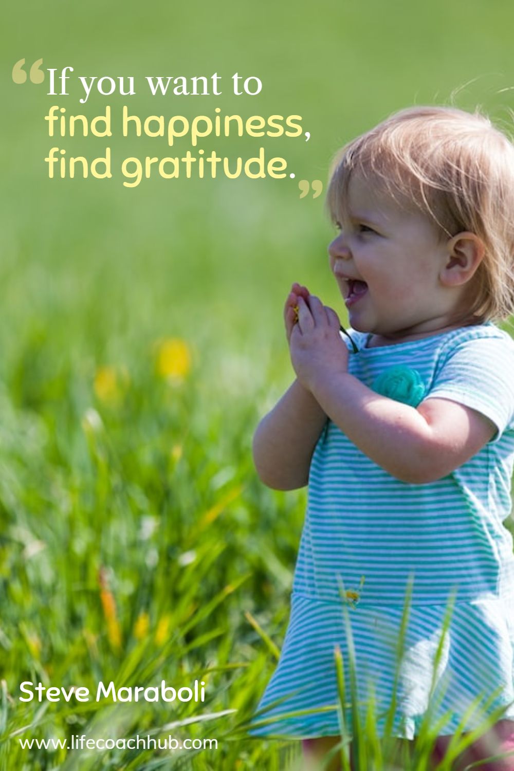 If you want to find happiness, find gratitude. Steve Maraboli Coaching Quote