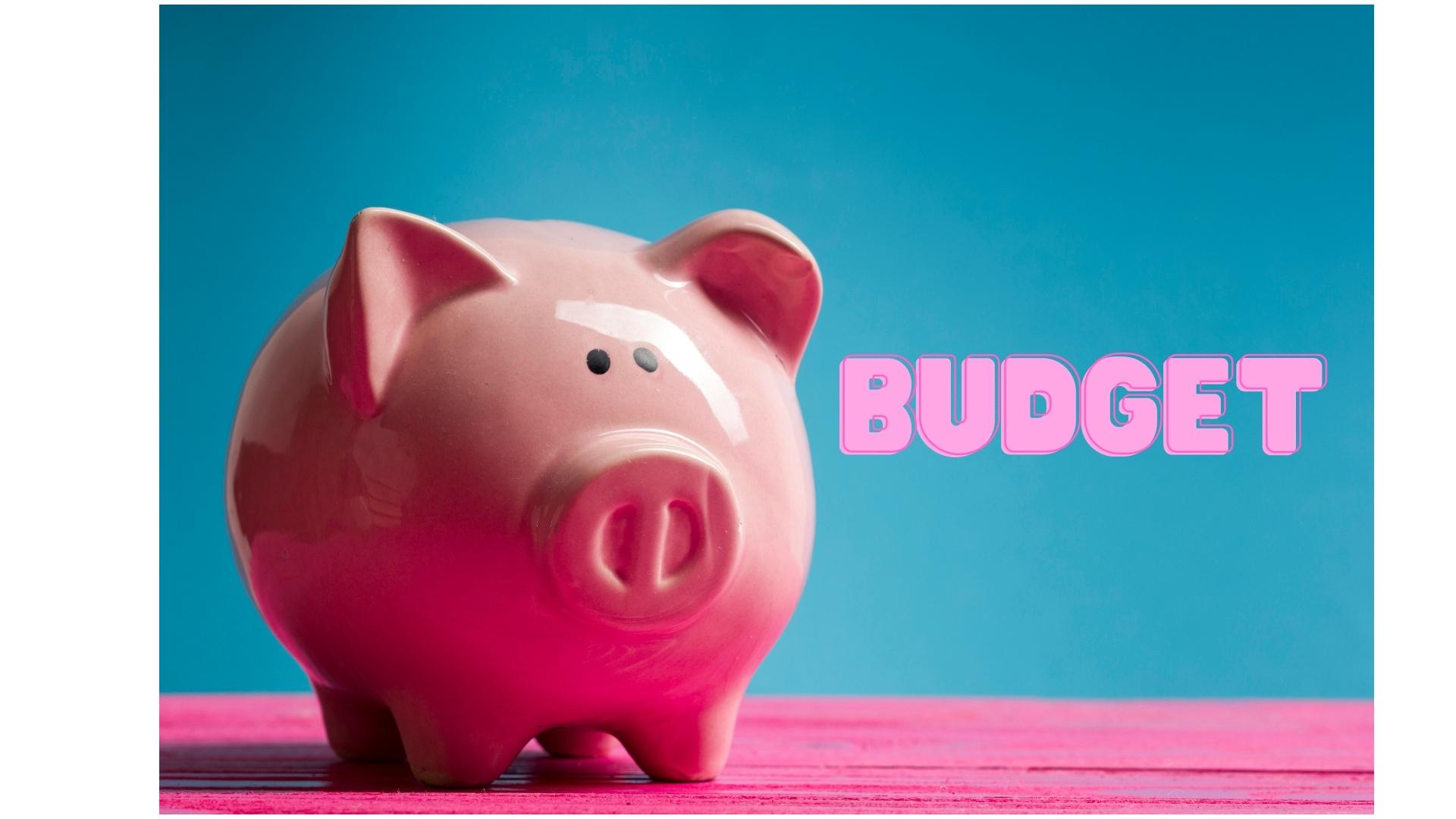 budget piggy bank