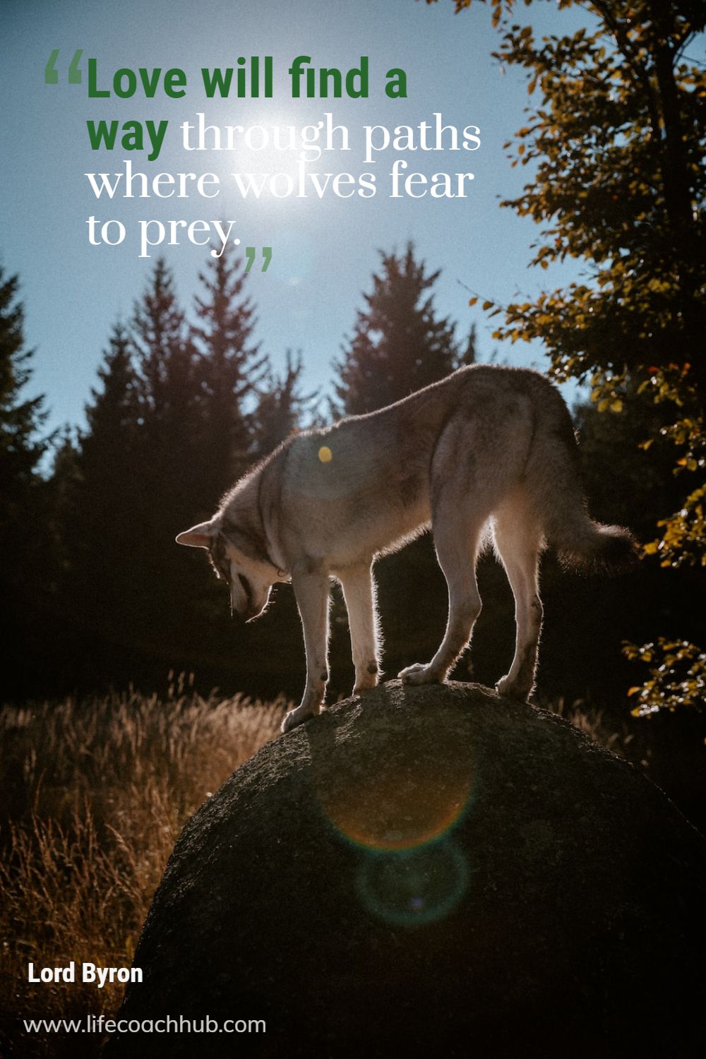 Love will find a way through paths where wolves fear to prey. Lord Byron Coaching Quote